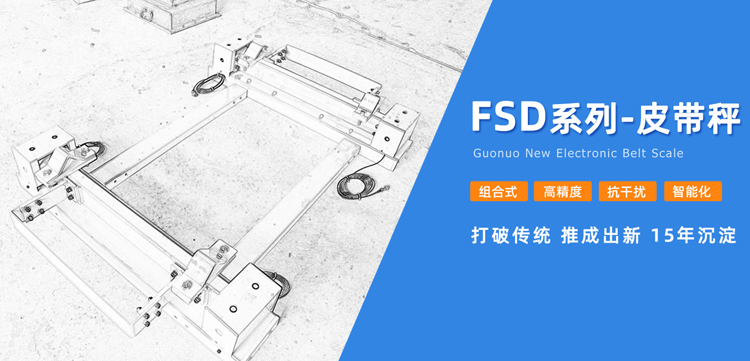 创新技术引领称重皮带秤发展,kaiyun官方注册如何突破重围