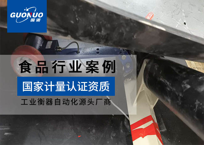 江达机械皮带秤项目