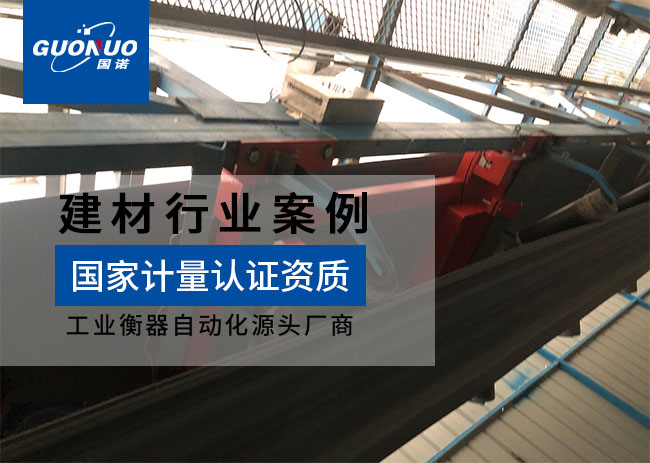 上海汀沂建材皮带秤项目